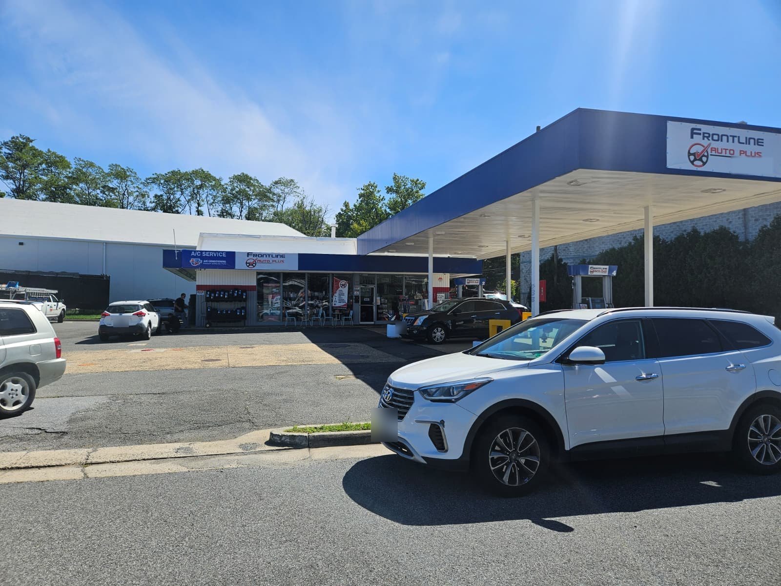 Frontline Auto Plus Annandale